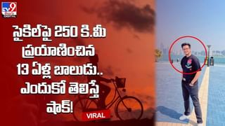 రన్నింగ్ కారుపై పాము !! చుక్కలు చూసిన ప్రయాణికులు.. చివరికి ఏమైందంటే  ??