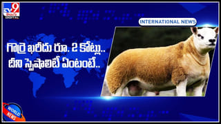 Old Man Stomach: కడుపునొప్పితో వృద్దుడు.. ఎక్స్‌రే చూసి షాక్‌ తిన్న డాక్టర్లు.. ఊహించని విధంగా కడుపులో..