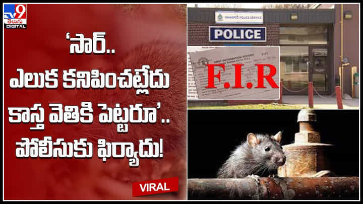 Rat missing: ‛సార్.. ఎలుక కనిపించట్లేదు కాస్త వెతికి పెట్టరూ’.. పోలీసుకు ఫిర్యాదు.! (వీడియో) Rat missing: ‛సార్.. ఎలుక కనిపించట్లేదు కాస్త వెతికి పెట్టరూ’.. పోలీసుకు ఫిర్యాదు.! (వీడియో)