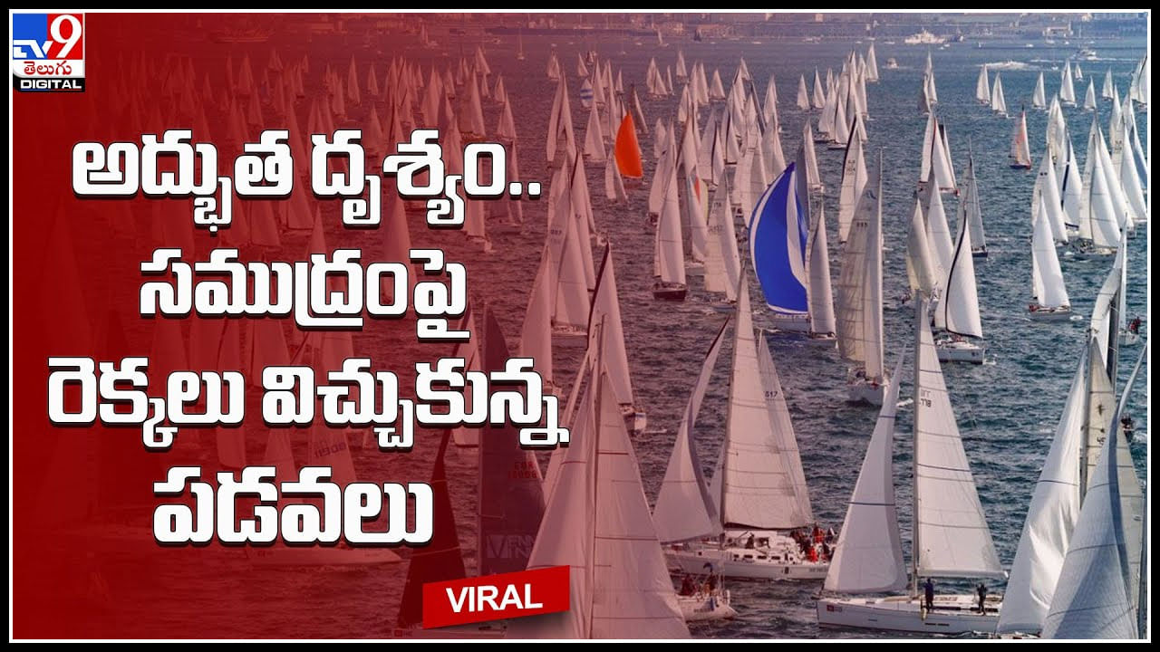 Sailing Regatta: అద్భుత దృశ్యం.. ఈ వీడియో చూసి వావ్ అనకుండా ఉండగలరా ఛాలెంజ్.. సముద్రంపై అలా..