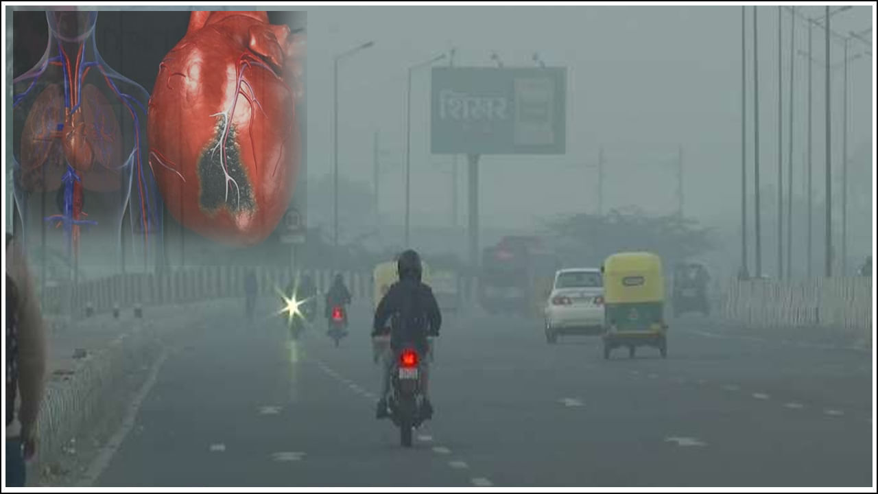 Air Pollution: గుండెపోటు ప్రమాదాన్ని పెంచే వాయు కాలుష్యం.. పరిశోధనలలో షాకింగ్‌ విషయాలు..!