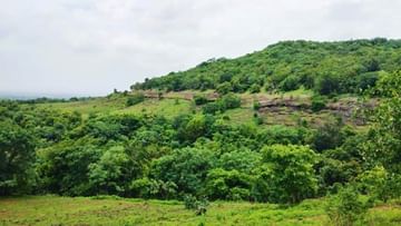 Anantagiri Hills: అనంతగిరి అందాలు చూసొద్దామా.. స్పెషల్ బస్సులు ఏర్పాటు చేసిన ఆర్టీసీ.. అంతే కాకుండా..