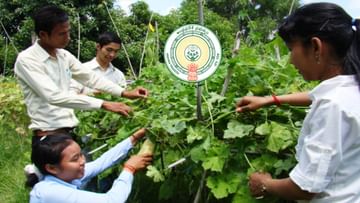 APPSC: ఆంధ్రప్రదేశ్ వ్యవసాయ శాఖలోని ఈ పోస్టులకు త్వరలోనే నోటిఫికేషన్..!