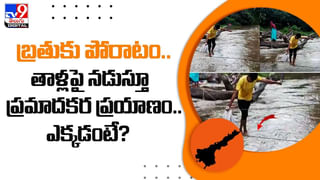 రైతు వినూత్న ఆలోచన.. దెబ్బకు అడవి పందులు పరార్..(Video)