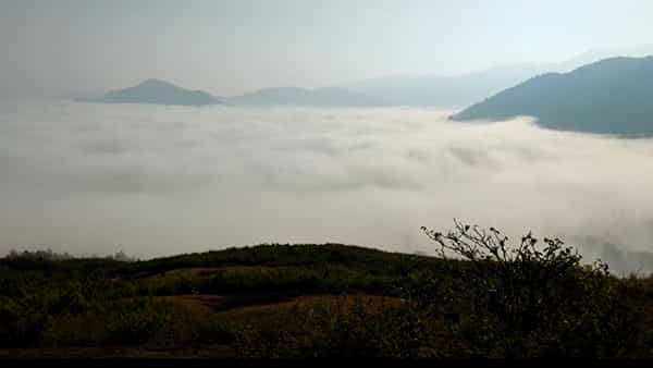 Araku: మంచు దుప్పటి కప్పుకున్న మాడగడ.. పోటెత్తుతున్న పర్యాటకులు.. ప్రాచుర్యం కల్పించాలని కోరుతున్న స్థానికులు