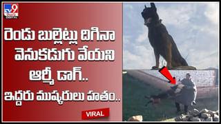 అందుకే చెప్పేది.. డ్రైవింగ్ చేసేటప్పుడు జాగ్రత్తగా ఉండాలని.. ఈ వీడియో చూస్తే మీకే తెలుస్తుంది..