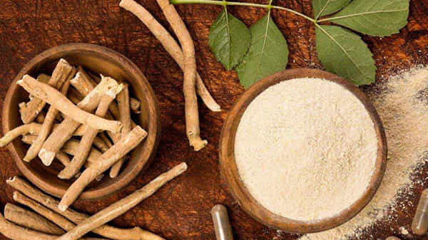 Benefits of Ashwagandha: మీలో ఆ సామర్థ్యం తగ్గిందా? అశ్వగంధతో ఇలా చేస్తే అద్భుత ప్రయోజనాలు..