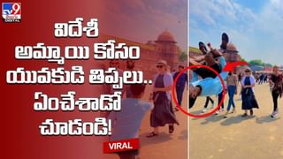 అడవిలో వెళ్తున్న బస్సు డ్రైవర్ కు వింత అనుభవం.. ఆపి లిఫ్ట్‌ అడిగిన ఏనుగు