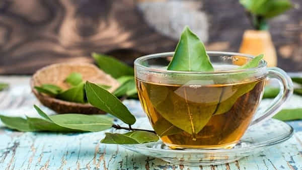 Bay Leaves Water: బిర్యానీ ఆకుల నీటీతో అధిక బరువుకు చెక్.. ఇలా చేస్తే 7 రోజుల్లోనే ఫిట్గా మారొచ్చు.. ఎలాగో తెలుసుకోండి..