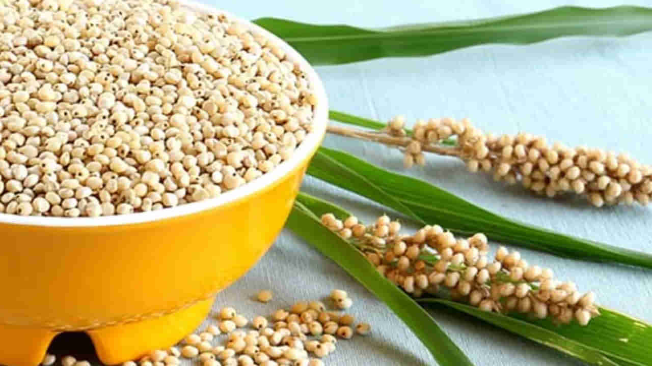 Health benefits of Sorghum: జొన్న కూడు అని చిన్న చూపు చూస్తున్నారా..? ఆరోగ్య ప్రయోజనాలో తెలిస్తే షాక్ అవుతారు..