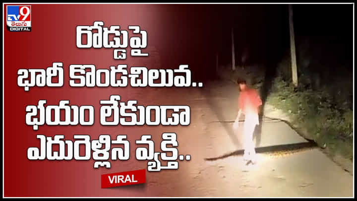 Big Python: రోడ్డుపై భారీ కొండచిలువ.. భయం లేకుండా ఎదురెళ్లిన వ్యక్తి.. చివరికి ఏం జరిగిందంటే.! Big Python: రోడ్డుపై భారీ కొండచిలువ.. భయం లేకుండా ఎదురెళ్లిన వ్యక్తి.. చివరికి ఏం జరిగిందంటే.!