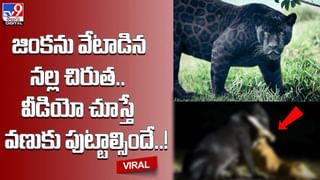 Girls Night Out: అక్కడ అబ్బాయిల మాదిరిగానే అమ్మాయిలకూ నైట్‌ లైఫ్‌