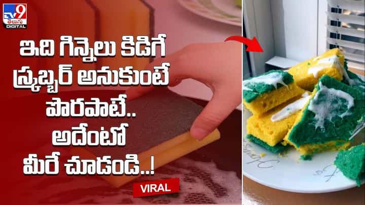 ఇది గిన్నెలు కడిగే స్క్రబ్బర్ అనుకుంటే పొరపాటే.. అదేంటో మీరే చూడండి ఇది గిన్నెలు కడిగే స్క్రబ్బర్ అనుకుంటే పొరపాటే.. అదేంటో మీరే చూడండి