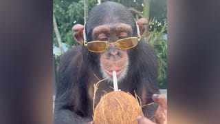 Government schoo: మిడ్‌డే మీల్‌లో దారుణం.! పిల్లలకు కేవలం ‘సాల్ట్‌ రైస్‌’ మాత్రమే.. ప్రభుత్వ స్కూల్‌ తీరు మండిపడుతున్న జనం..