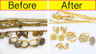 రోడ్డు మీద బిక్కుబిక్కుమంటూ కనిపిస్తే కుక్క పిల్ల అని ఇంటికి తెచ్చుకున్నారు.. కట్ చేస్తే 6 నెలల తర్వాత