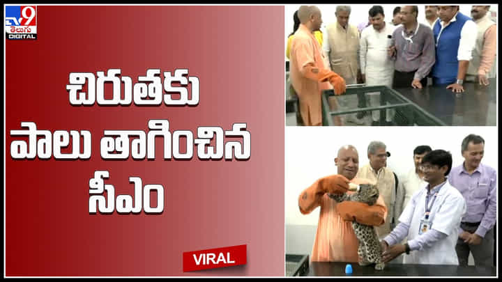 CM Yogi Adithyanath: చిరుతకు పాలు తాగించిన సీఎం యోగీ ఆదిత్యనాథ్.. వైరల్ అవుతున్న వీడియో. CM Yogi Adithyanath: చిరుతకు పాలు తాగించిన సీఎం యోగీ ఆదిత్యనాథ్.. వైరల్ అవుతున్న వీడియో.