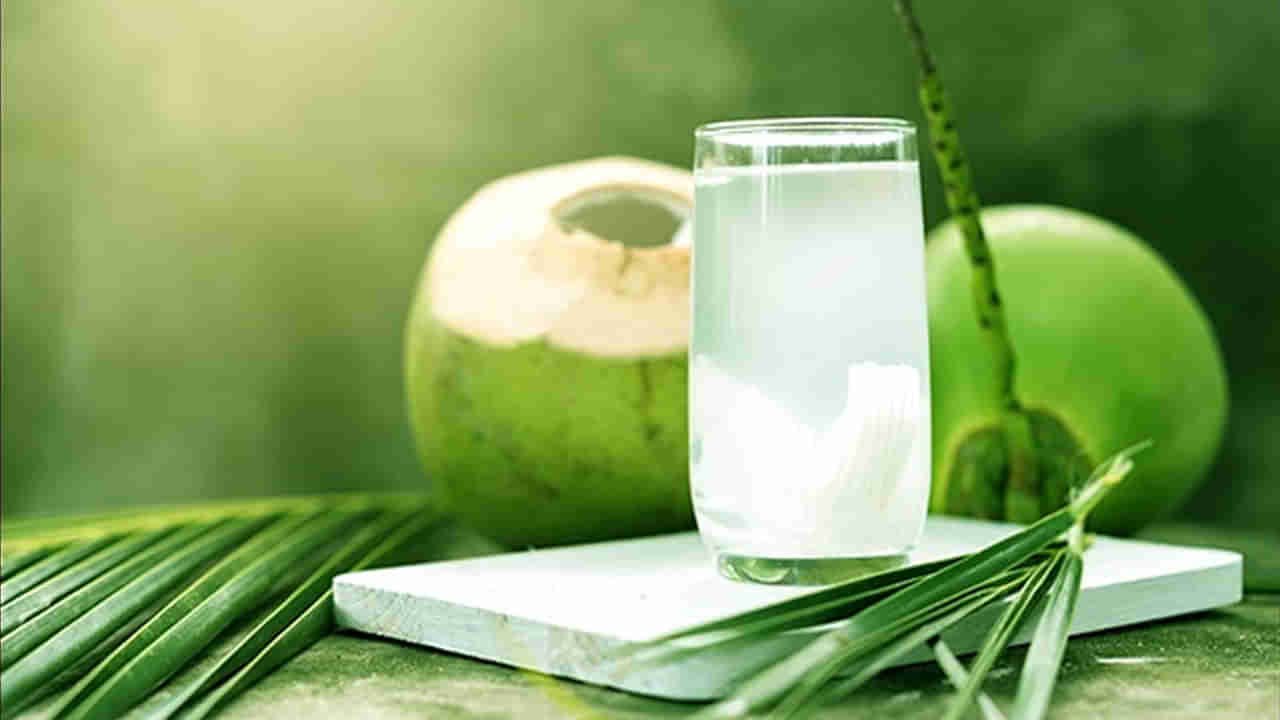 Coconut Water: వేడి కొబ్బరి నీళ్లతో క్యాన్సర్‌కు చెక్‌ పెట్టవచ్చా..? నిపుణులు ఏం చెబుతున్నారంటే..