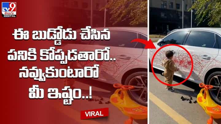 ఈ బుడ్డోడు చేసిన పనికి కోప్పడతారో.. నవ్వుకుంటారో మీ ఇష్టం ఈ బుడ్డోడు చేసిన పనికి కోప్పడతారో.. నవ్వుకుంటారో మీ ఇష్టం
