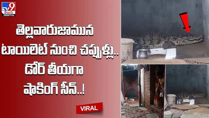 తెల్లవారుజామున టాయిలెట్ నుంచి చప్పుళ్లు.. డోర్ తీయగా షాకింగ్ సీన్ తెల్లవారుజామున టాయిలెట్ నుంచి చప్పుళ్లు.. డోర్ తీయగా షాకింగ్ సీన్