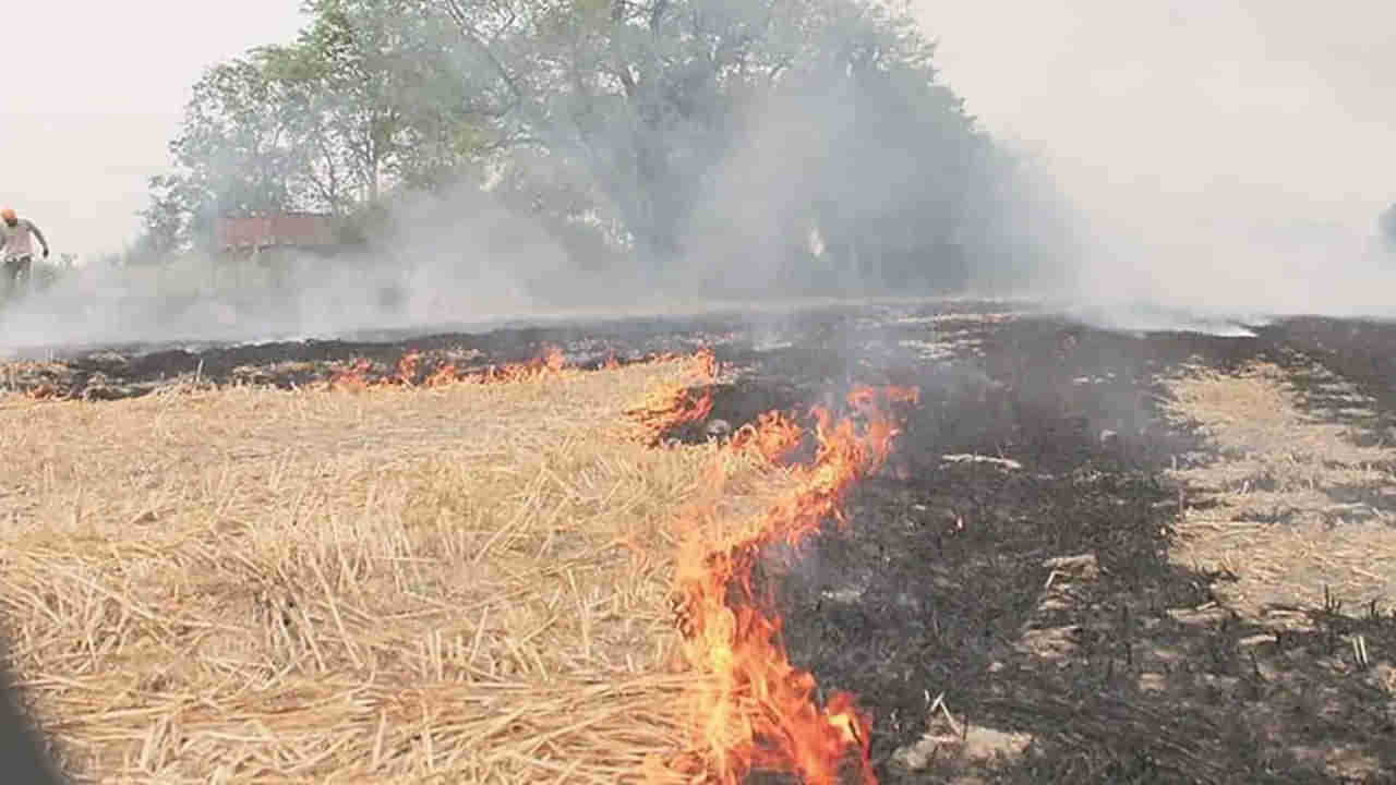 Delhi Air Pollution: మొన్నటిదాకా వర్షాలు.. ఇప్పుడు పొగ.. ఢిల్లీలో డేంజర్ బెల్స్ మోగిస్తున్న ఎయిర్​ పొల్యూషన్..