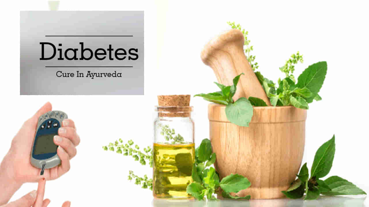 Diabetes Cure: మధుమేహానికి ఆయుర్వేదంతో చికిత్స సాధ్యమే.. ఈ మెడిసిన్‌తో జస్ట్ ఇలా చేయండి..