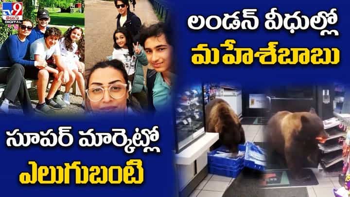 Digital News Round Up: లండన్ వీధుల్లో మహేశ్బాబు | సూపర్ మార్కెట్లో ఎలుగుబంటి.. లైవ్ వీడియో Digital News Round Up: లండన్ వీధుల్లో మహేశ్బాబు | సూపర్ మార్కెట్లో ఎలుగుబంటి.. లైవ్ వీడియో