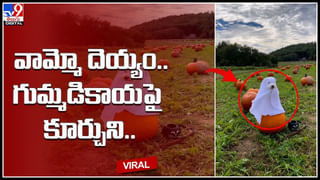 cow attack: కర్మ ఫలం అంటే ఇదే బాస్‌.. ఎవరూ తప్పించుకోలేరు.! ఆవా , మజాకా..(వీడియో)