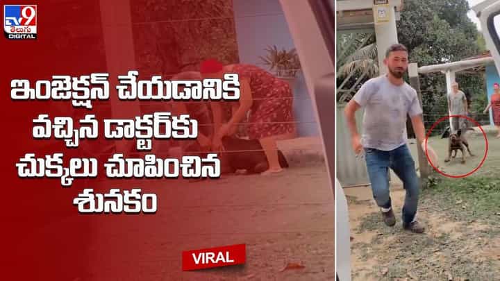 ఇంజెక్షన్ చేయడానికి వచ్చిన డాక్టర్కు చుక్కలు చూపించిన శునకం ఇంజెక్షన్ చేయడానికి వచ్చిన డాక్టర్కు చుక్కలు చూపించిన శునకం