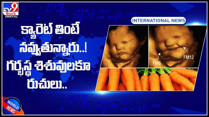 Fetus: క్యారెట్ తింటే నవ్వుతున్నారు..! గర్భస్థ శిశువులకూ రుచులు.. అవును ఇది నిజమే.. కావాలంటే మీరే చూడండి. Fetus: క్యారెట్ తింటే నవ్వుతున్నారు..! గర్భస్థ శిశువులకూ రుచులు.. అవును ఇది నిజమే.. కావాలంటే మీరే చూడండి.