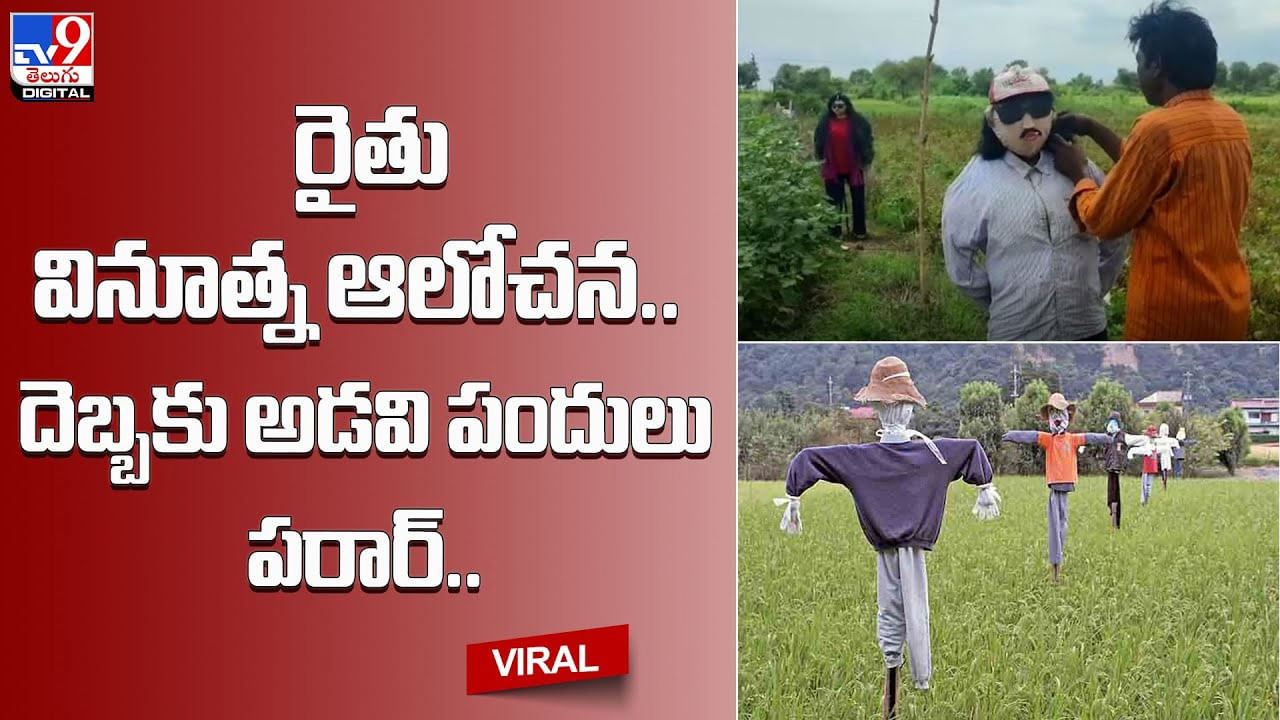 రైతు వినూత్న ఆలోచన.. దెబ్బకు అడవి పందులు పరార్..(Video)