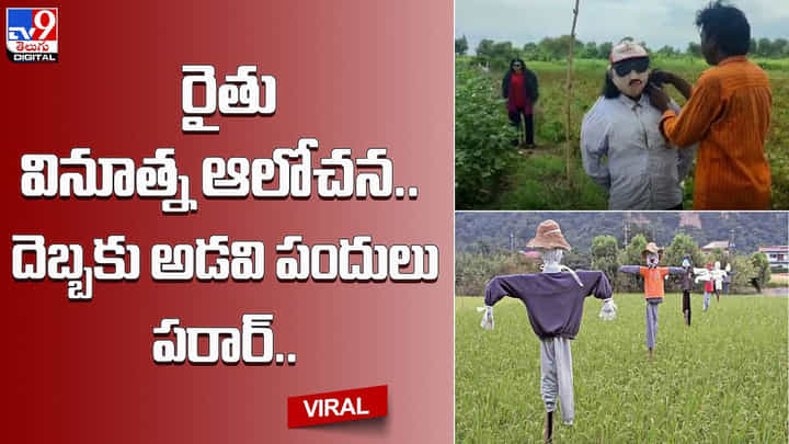 రైతు వినూత్న ఆలోచన.. దెబ్బకు అడవి పందులు పరార్..(Video) రైతు వినూత్న ఆలోచన.. దెబ్బకు అడవి పందులు పరార్..(Video)