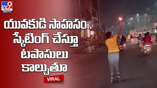 Viral Video: దున్న కోసం.. ఆడ, మగ సింహాల మధ్య భీకర పోరు.. చివరిలో సూపర్‌ ట్విస్ట్‌