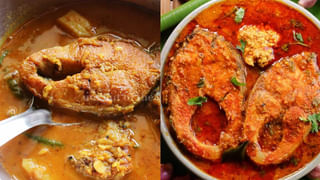 Pumpkin Seeds: గుమ్మడికాయ గింజలను పడేస్తున్నారా? ఈ ఆరోగ్య ప్రయోజనాలు మిస్‌ చేసుకున్నట్లే