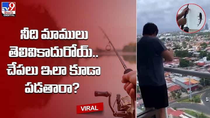నీది మాములు తెలివికాదురోయ్.. చేపలు ఇలా కూడా పడతారా ?? నీది మాములు తెలివికాదురోయ్.. చేపలు ఇలా కూడా పడతారా ??