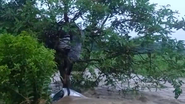 వాగులో చిక్కుకున్న కారు.. చెట్టు కొమ్మను పట్టుకుని ప్రాణాలు కాపాడుకున్న భార్య భర్తలు