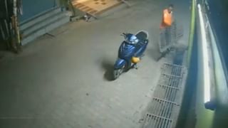 Bear Fight: రోడ్డు మధ్యలో పొట్టుపొట్టుగా పోట్లాడుకున్న ఎలుగుబంట్లు.. వీడియో చూస్తే అవాక్కవ్వాల్సిందే