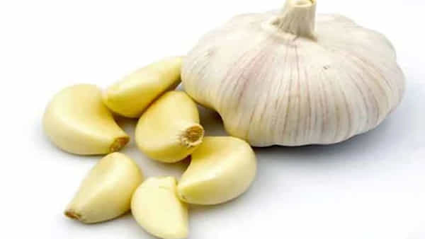 Garlic: పరగడుపున వెల్లుల్లి తింటున్నారా..? ప్రమాదంలో పడకముందే ఈ విషయాలను తెలుసుకోండి..