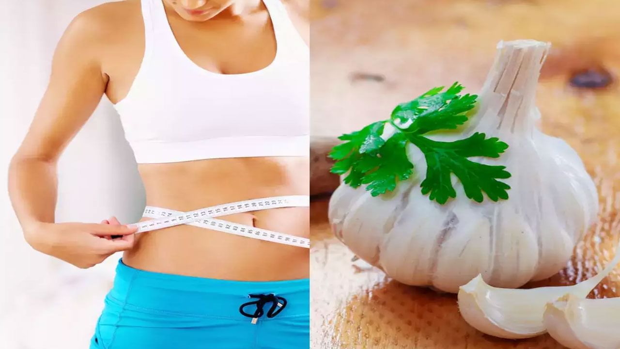 Weight Loss: ఉదయం లేవగానే ఓ వెల్లుల్లి తినండి.. బరువు వేగంగా తగ్గొచ్చు.. అయితే ఈ విషయాలను గుర్తుంచుకోండి..