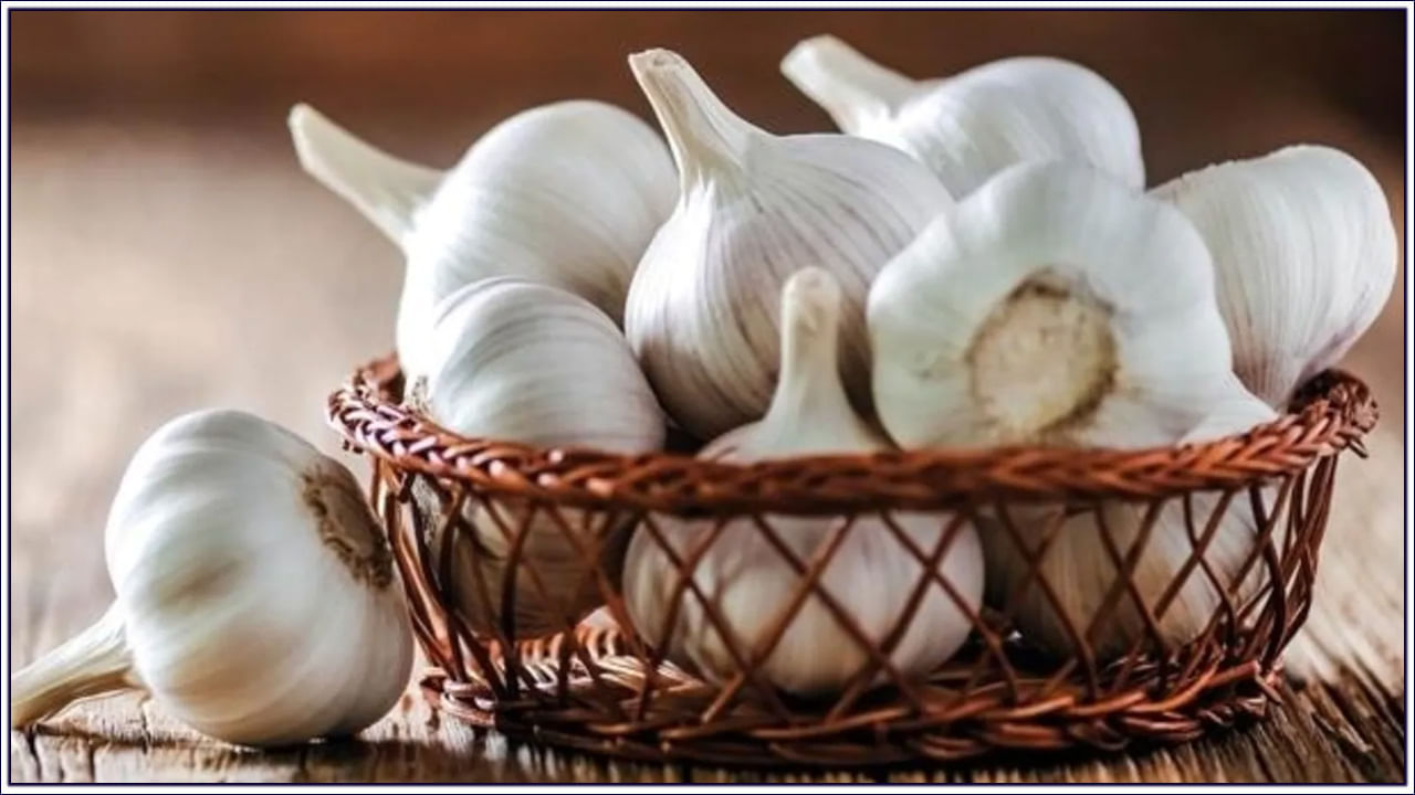 Garlic Benefits: ఉదయం ఖాళీ కడుపుతో వెల్లుల్లిని తింటున్నారా..? అదిరిపోయే ప్రయోజనాలు