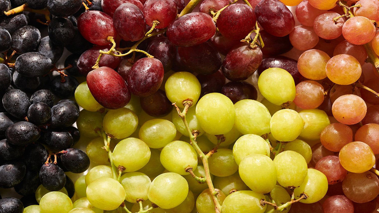 Grape Seeds For Health: ద్రాక్ష పండ్లు మాత్రమే కాదు.. గింజల్లోనూ అంతులేని ఆరోగ్య ప్రయోజనాలు దాగున్నాయ్..