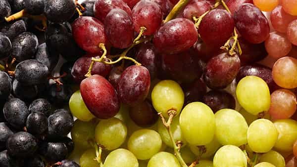 Grapes Health: ద్రాక్ష గింజలను పడేస్తున్నారా.. పొట్టుతో సహా తింటే ఎన్నో ఆరోగ్య ప్రయోజనాలు.. అవేంటంటే..