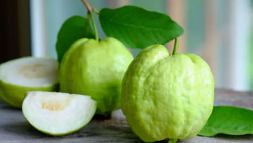 Guava Benefits: ఒక్క జామ కాయ.. ఎంత మేలు చేస్తుందో తెలుసా..? రోజూ తింటే ఆ సమస్యలే దరిచేరవు..