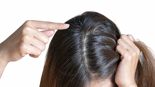 Hair Care: జుట్టు తెల్లబడిపోయిందని విచారిస్తున్నారా? గుడ్ న్యూస్.. ఇలా చేస్తే నల్లగా మారిపోవడం ఖాయం..