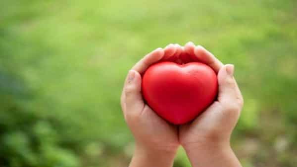 Heart Health: ఈ గింజలతో హార్ట్ ఎటాక్ సమస్య నుంచి బయటపడొచ్చు.. అది ఎలాగో తప్పనిసరిగా తెలుసుకోండి..