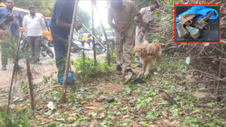 Telangana: ప్రశాంతంగా ఉన్న ఆ ఎమ్మెల్యేకు కోపం తన్నుకొచ్చింది.. ఇంతకీ ఆమె ఆగ్రహానికి కారణమేంటో తెలుసా?