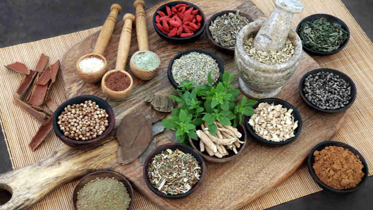 Immunity Boosting: మీ శరీరంలో రోగ నిరోధక శక్తిని పెంచుకోవాలనుకుంటున్నారా.. టీతో పాటు ఈ పదార్థాలు తీసుకోండి..