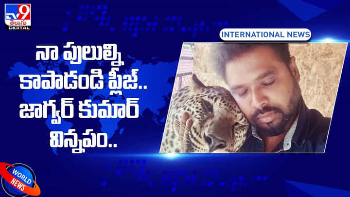 నా పులుల్ని కాపాడండి ప్లీజ్.. జాగ్వర్ కుమార్ విన్నపం..(Video) నా పులుల్ని కాపాడండి ప్లీజ్.. జాగ్వర్ కుమార్ విన్నపం..(Video)