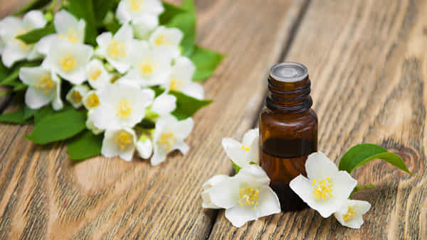 Jasmine Benefits: మల్లెపువ్వు ఆధారిత పదార్థాల ప్రయోజనాలు తెలిస్తే.. మీరిక వదిలిపెట్టరేమో..