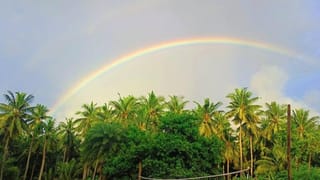 Palnadu district: అర్థ రూపాయి వడ్డికీ ఆశ పడి..! ఆపై బలవన్మరణాలకు పాల్పడి