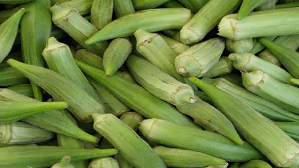 Lady Finger Benefits: బెండకాయ తింటున్నారా.. అయితే, ఈ వ్యాధులన్నింటికీ చెక్ పెట్టినట్టే..!